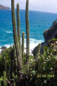 goat-path-to-columbier-beach