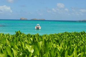 solitude-at-st-jean-beach