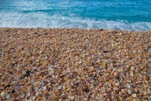 surf-rolls-in-on-shell-beach