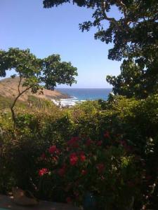 toiny-looking-down-on-beach