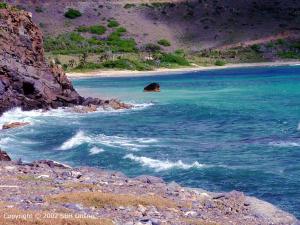 toiny-st-barts-beach