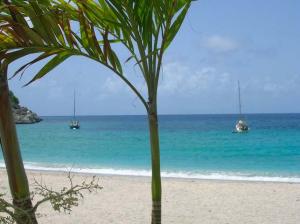 water-from-shell-beach