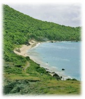 colombier-beach-st-barts-jb