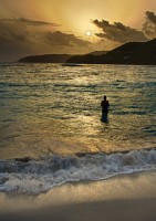 early-fish-web-724x1024