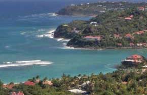 Purchasing Cigars on St Barts  SBHonline St Barts Vacations Insiders Guide